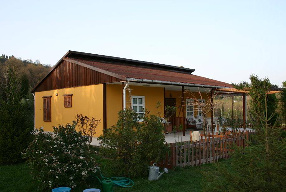 Portfolio Image